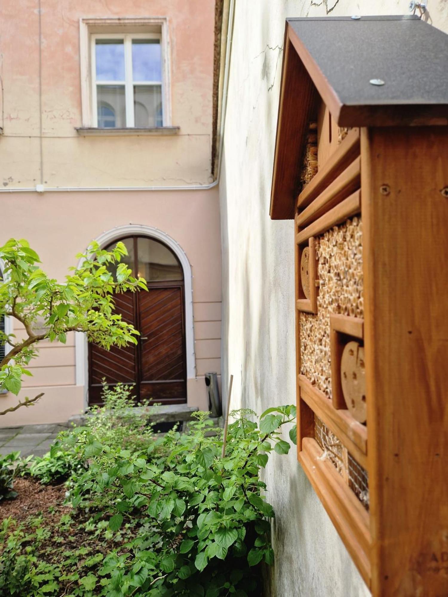 Apartmán Brokilon House Krakov Exteriér fotografie